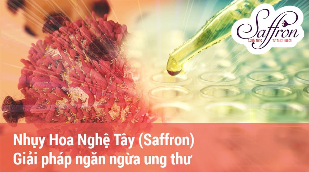Saffron hỗ trợ đắc lực trong việc ngăn ngừa ung thư